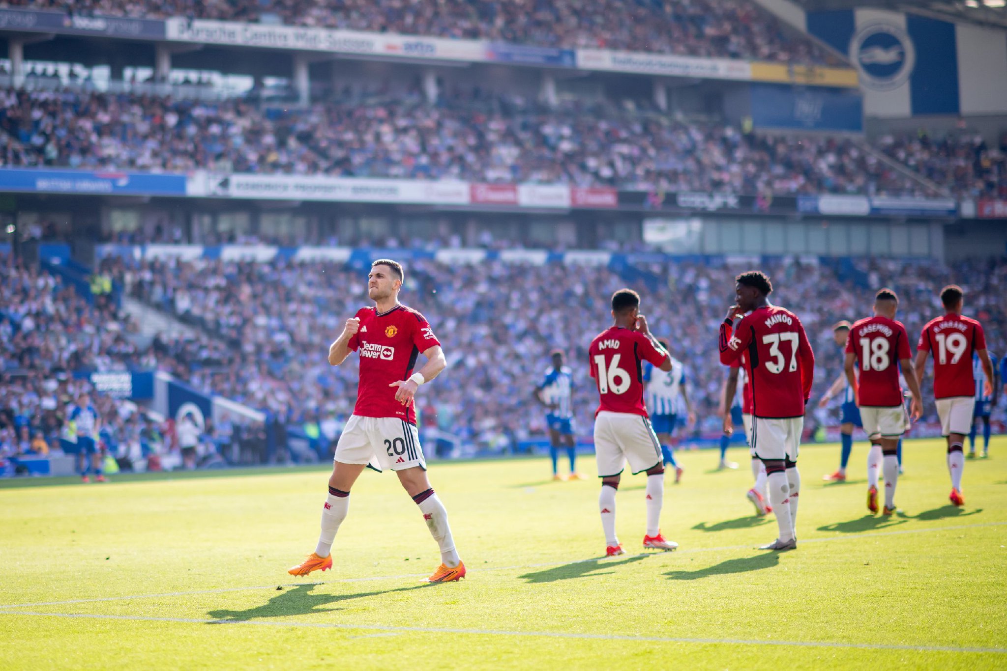 提升代谢的 提升代谢的