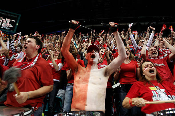 数据显示 数据显示